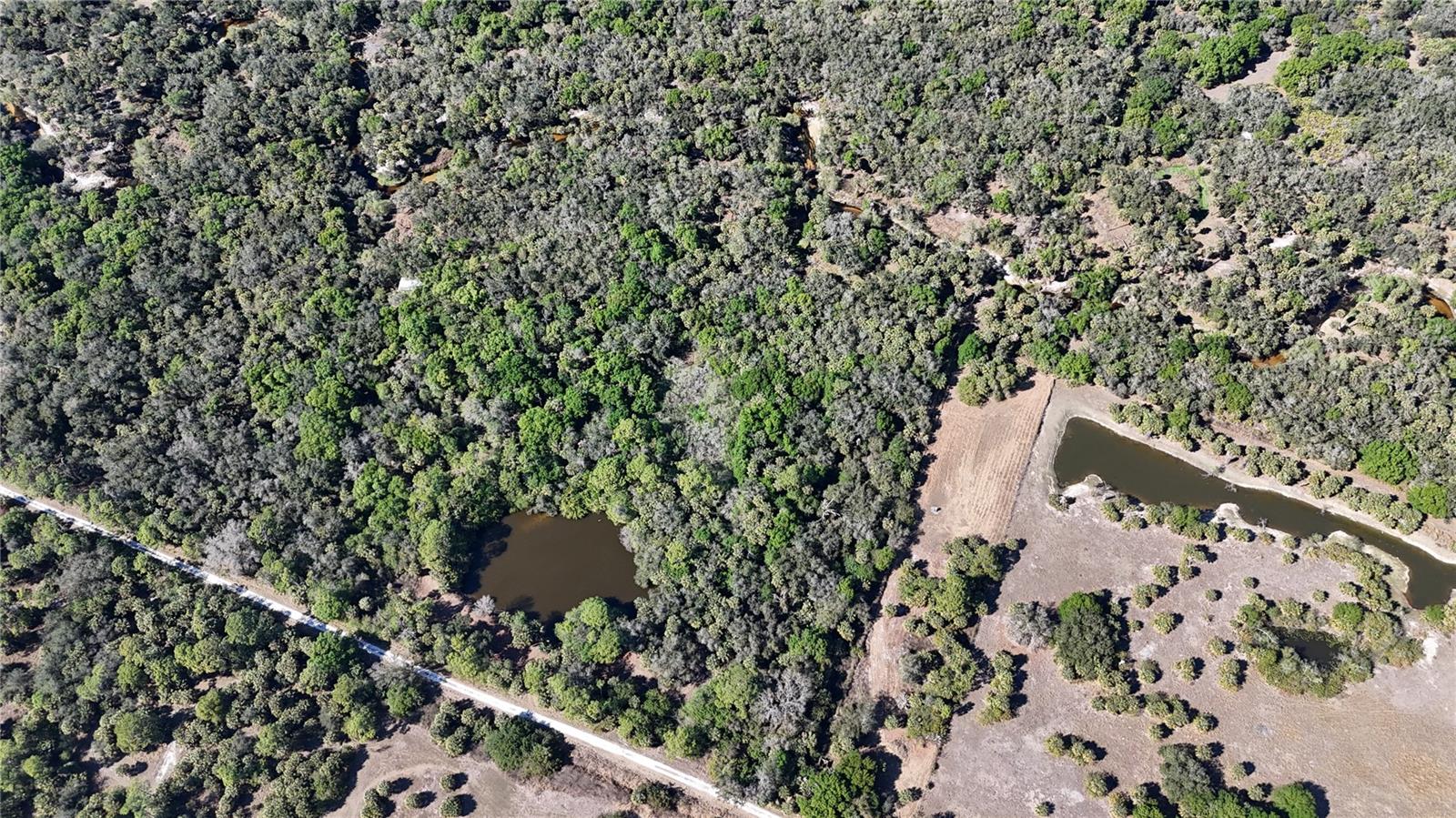 Image 46 of 97 For Address Not Provided