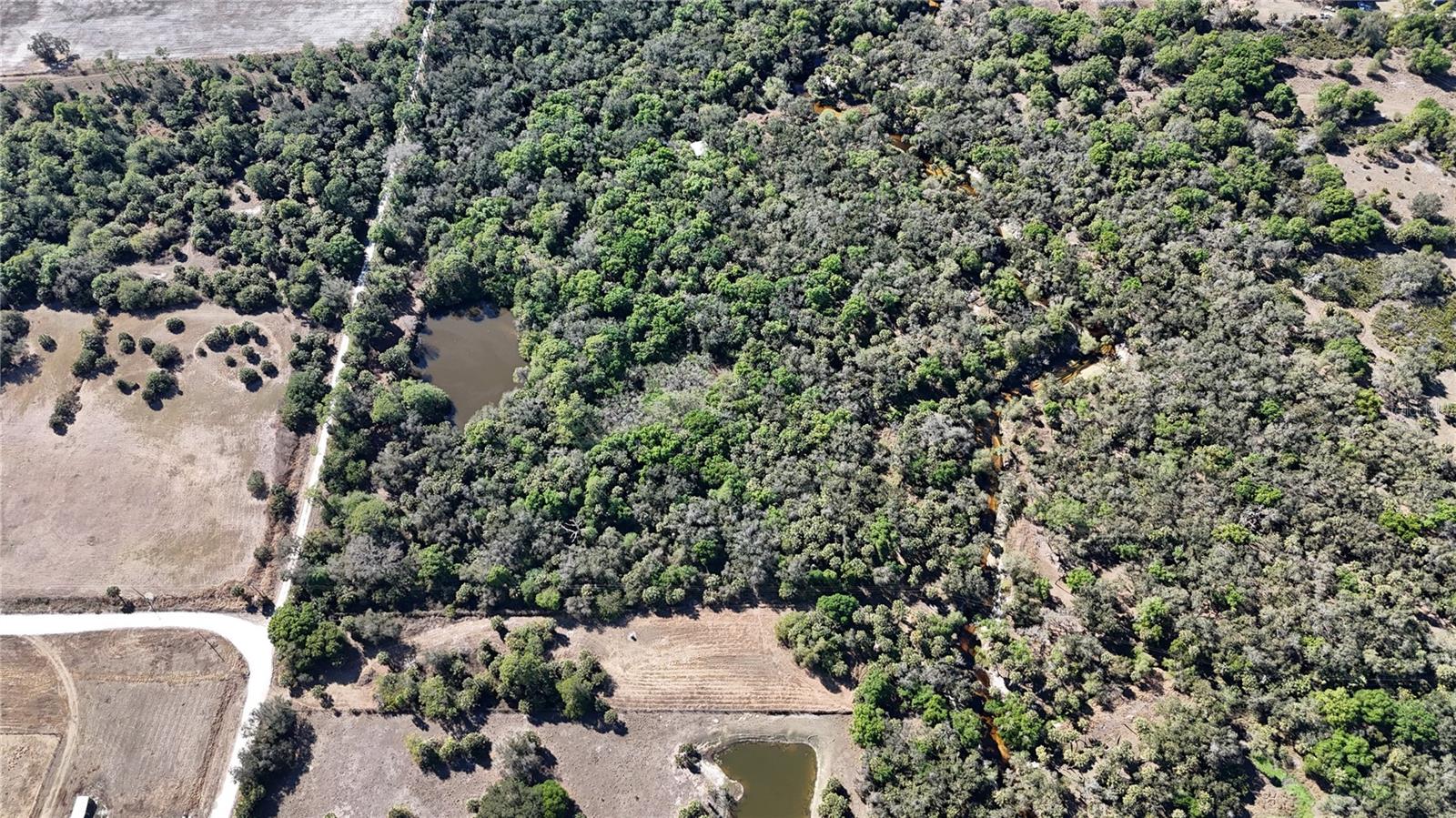 Image 47 of 97 For Address Not Provided