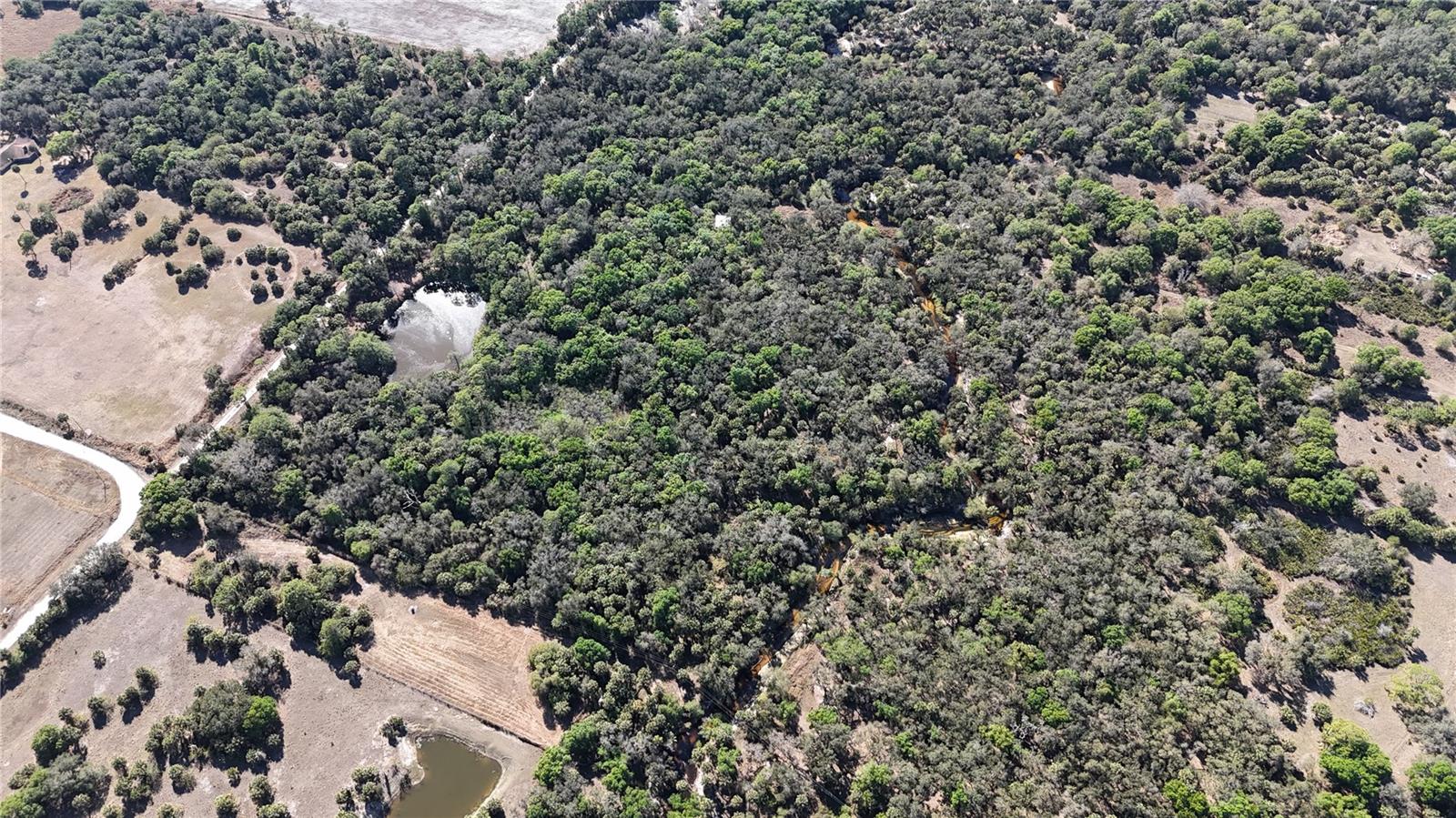 Image 48 of 97 For Address Not Provided