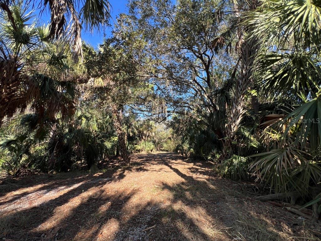 Image 5 of 97 For Address Not Provided