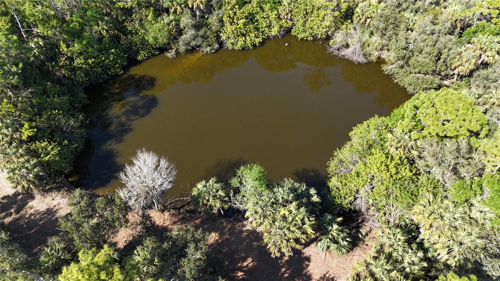 Image 52 of 97 For Address Not Provided