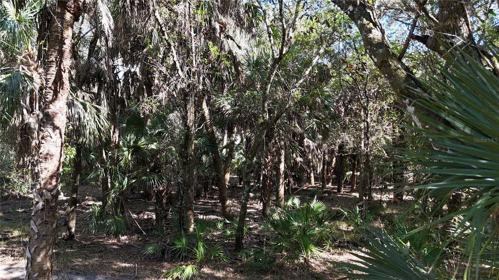 Image 54 of 97 For Address Not Provided