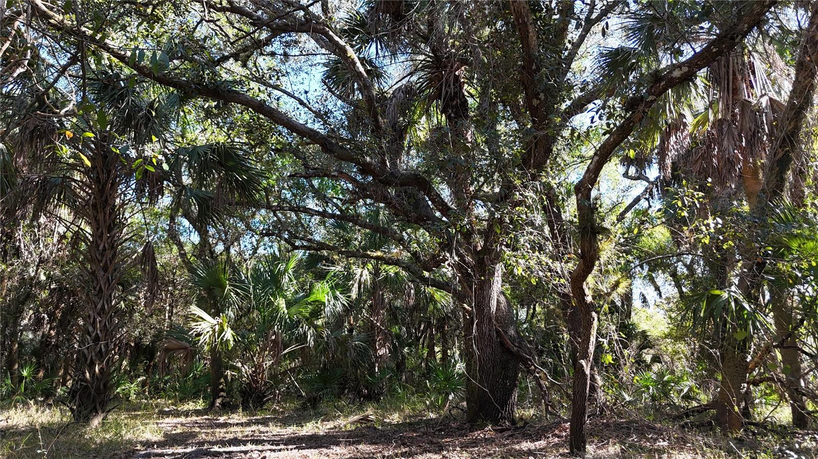 Image 55 of 97 For Address Not Provided