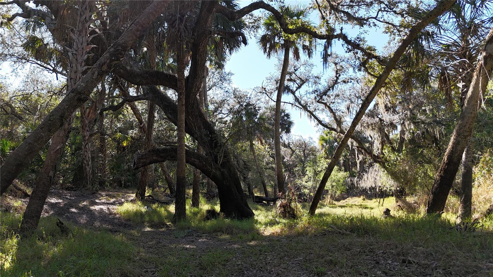 Image 56 of 97 For Address Not Provided