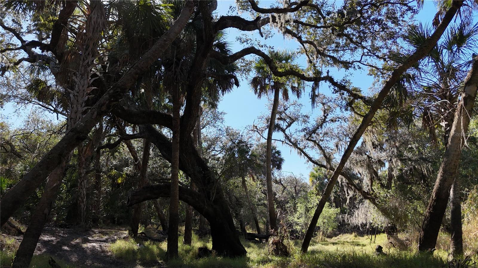 Image 57 of 97 For Address Not Provided