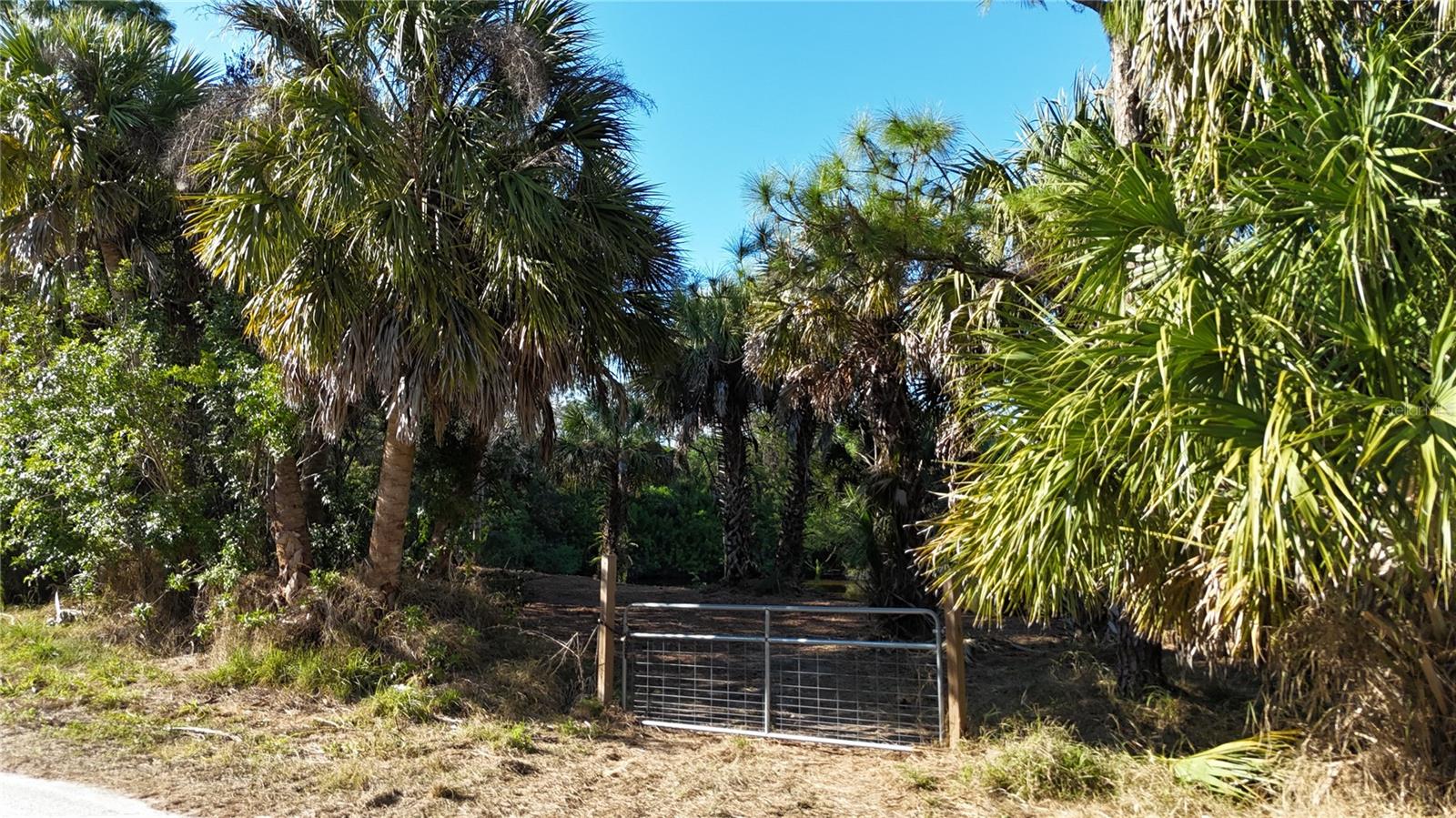 Image 58 of 97 For Address Not Provided