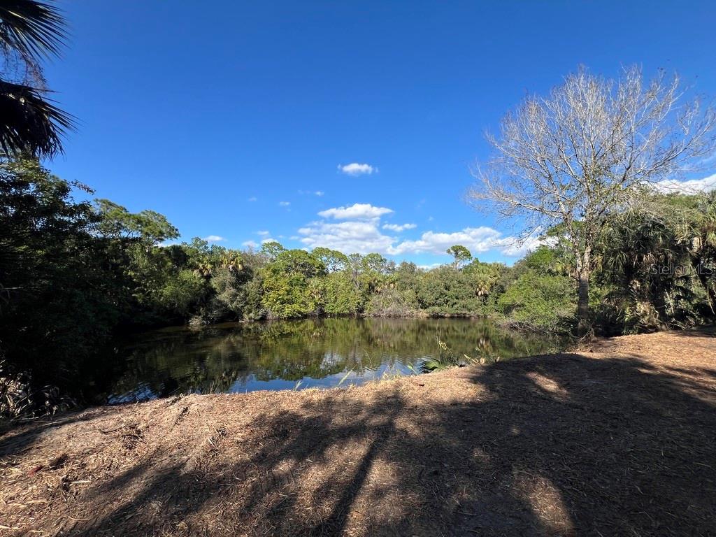 Image 6 of 97 For Address Not Provided