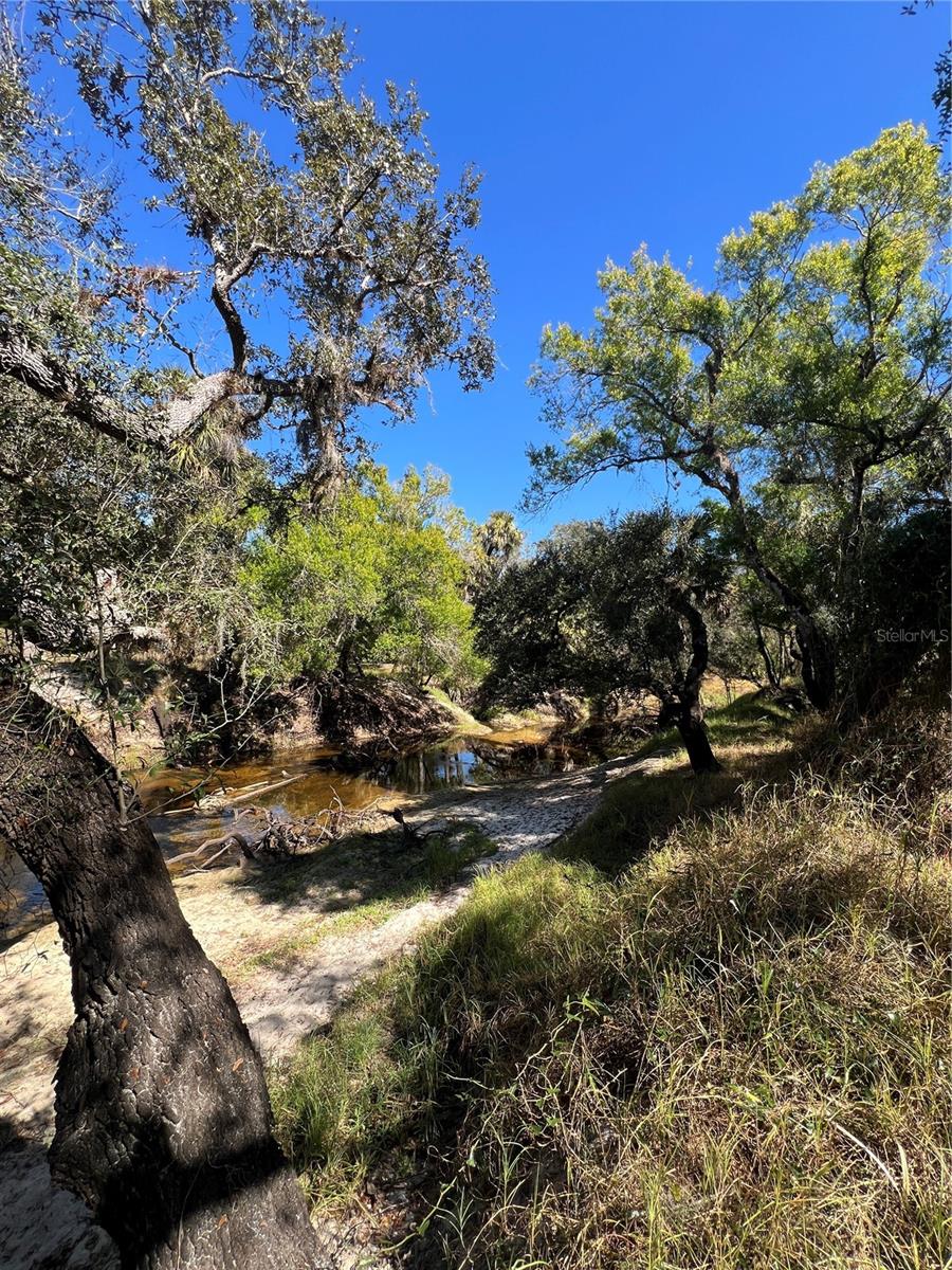 Image 61 of 97 For Address Not Provided