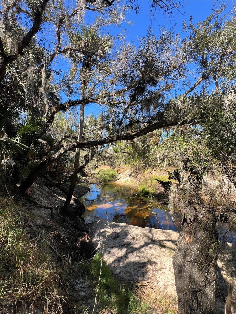 Image 62 of 97 For Address Not Provided