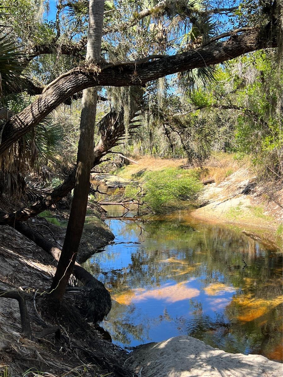 Image 63 of 97 For Address Not Provided