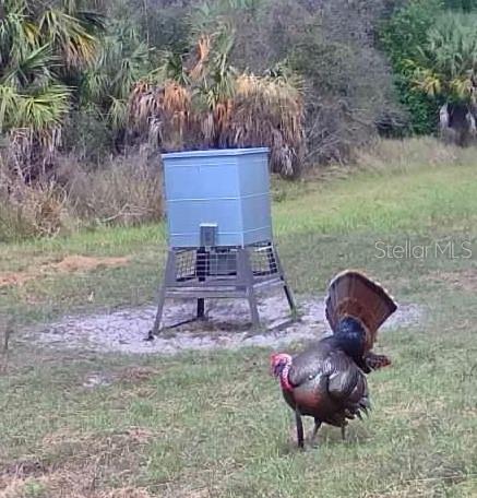 Image 73 of 97 For Address Not Provided