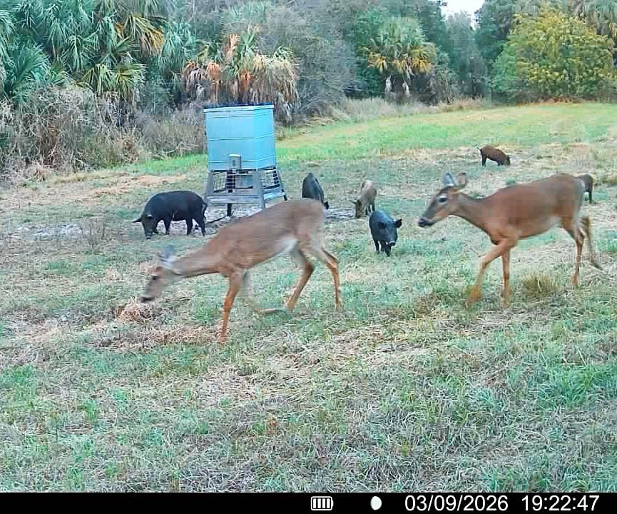 Image 74 of 97 For Address Not Provided