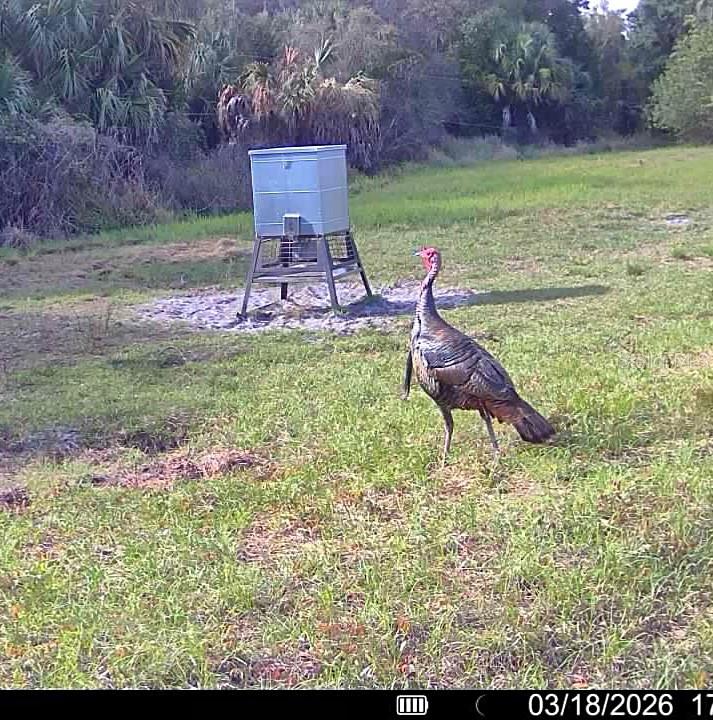 Image 76 of 97 For Address Not Provided