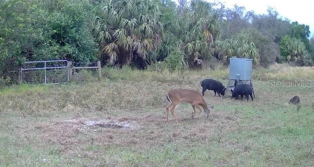 Image 77 of 97 For Address Not Provided