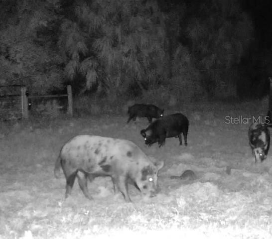 Image 79 of 97 For Address Not Provided