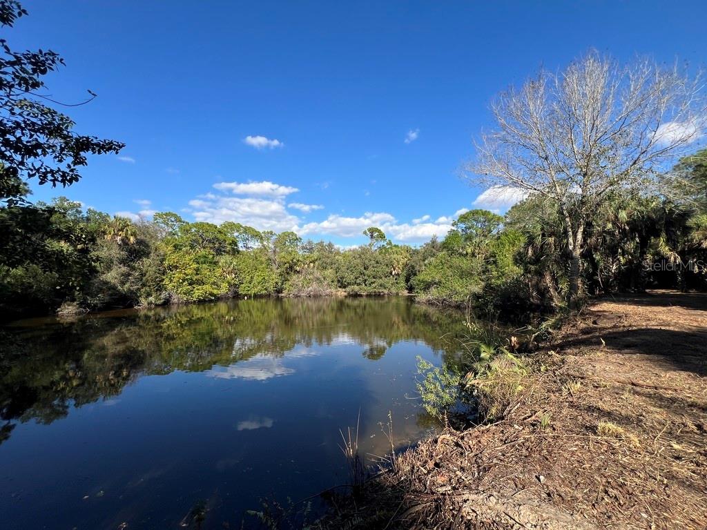 Image 8 of 97 For Address Not Provided