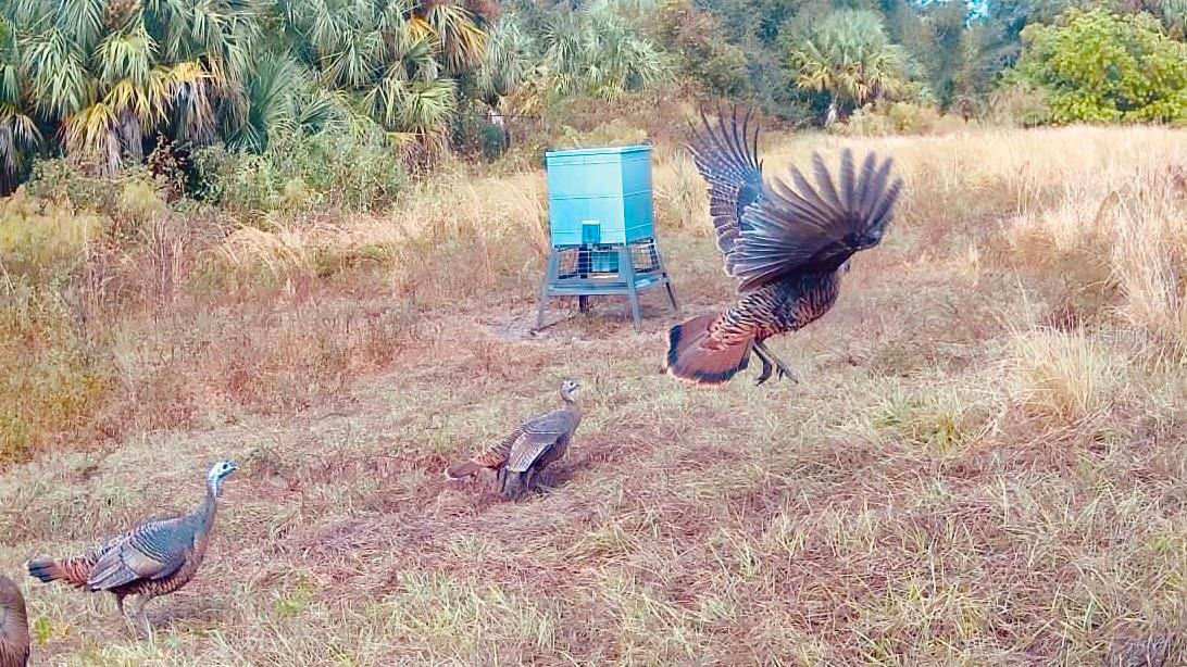 Image 80 of 97 For Address Not Provided