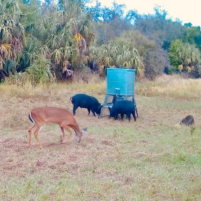 Image 81 of 97 For Address Not Provided