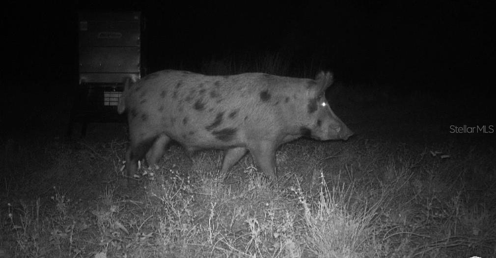 Image 83 of 97 For Address Not Provided