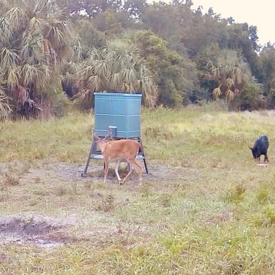 Image 87 of 97 For Address Not Provided