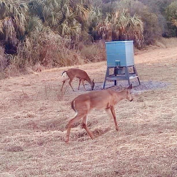 Image 89 of 97 For Address Not Provided