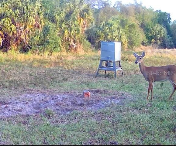 Image 92 of 97 For Address Not Provided