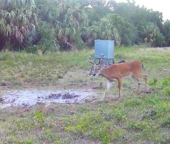 Image 93 of 97 For Address Not Provided