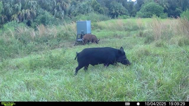 Image 95 of 97 For Address Not Provided