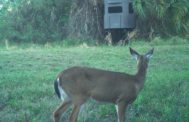 Image 97 of 97 For Address Not Provided