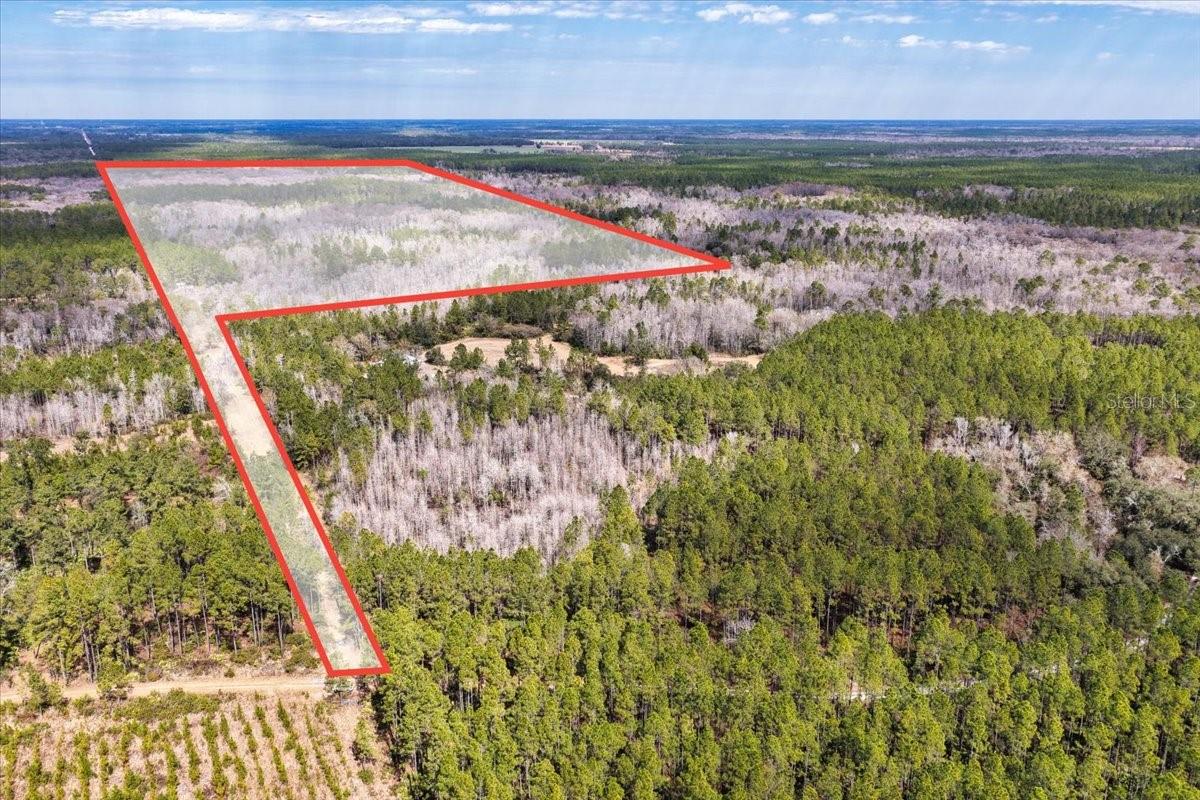 Details for 60 Acres Clyatt Road, CHIEFLAND, FL 32626