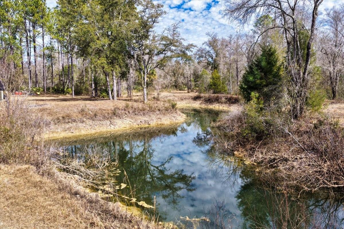 Image 18 of 70 For 60 Acres Clyatt Road