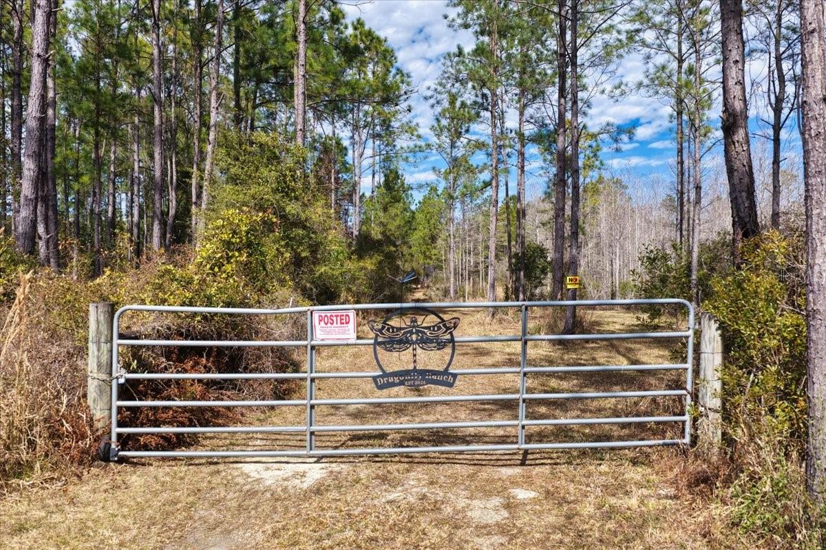 Image 2 of 70 For 60 Acres Clyatt Road