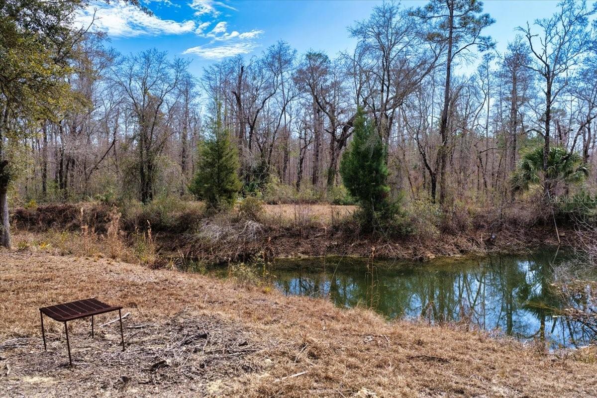 Image 21 of 70 For 60 Acres Clyatt Road