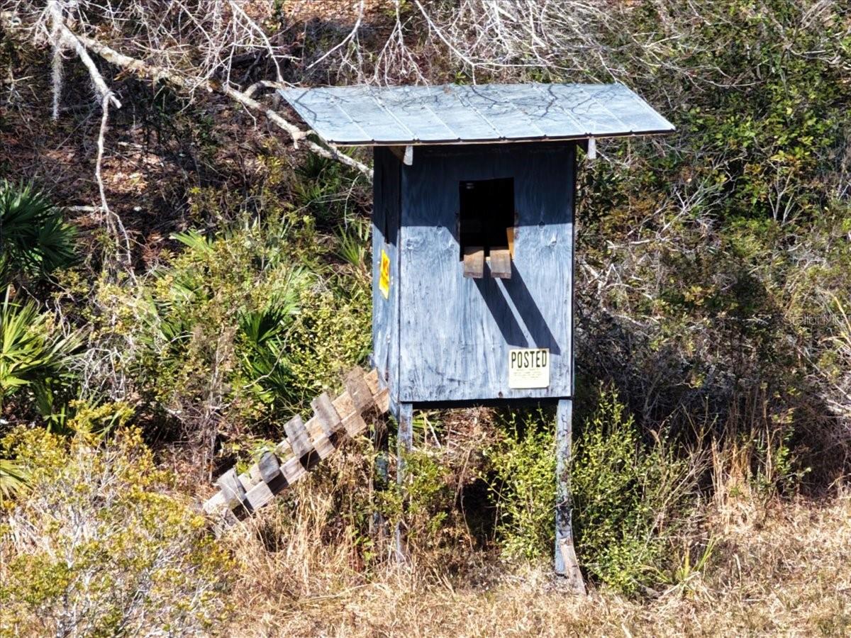 Image 35 of 70 For 60 Acres Clyatt Road