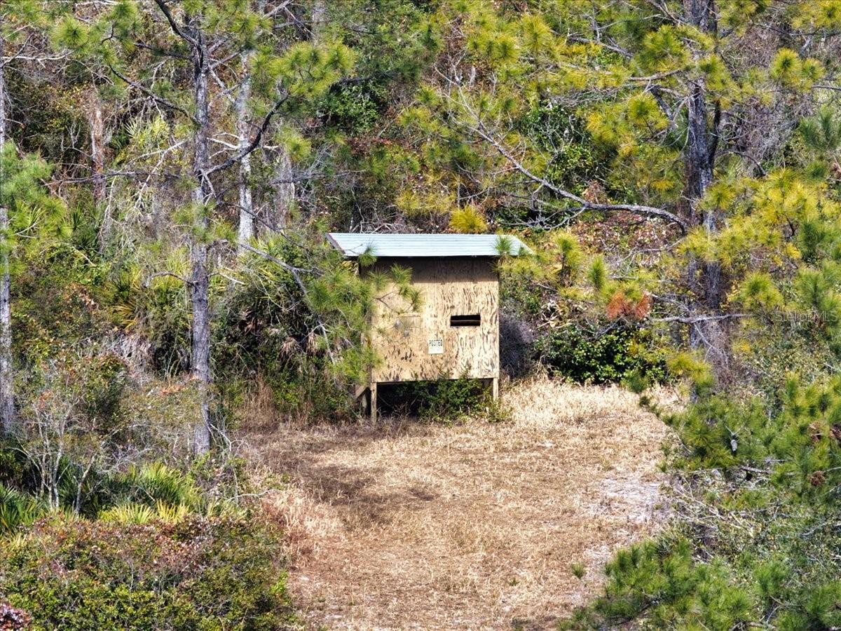 Image 37 of 70 For 60 Acres Clyatt Road