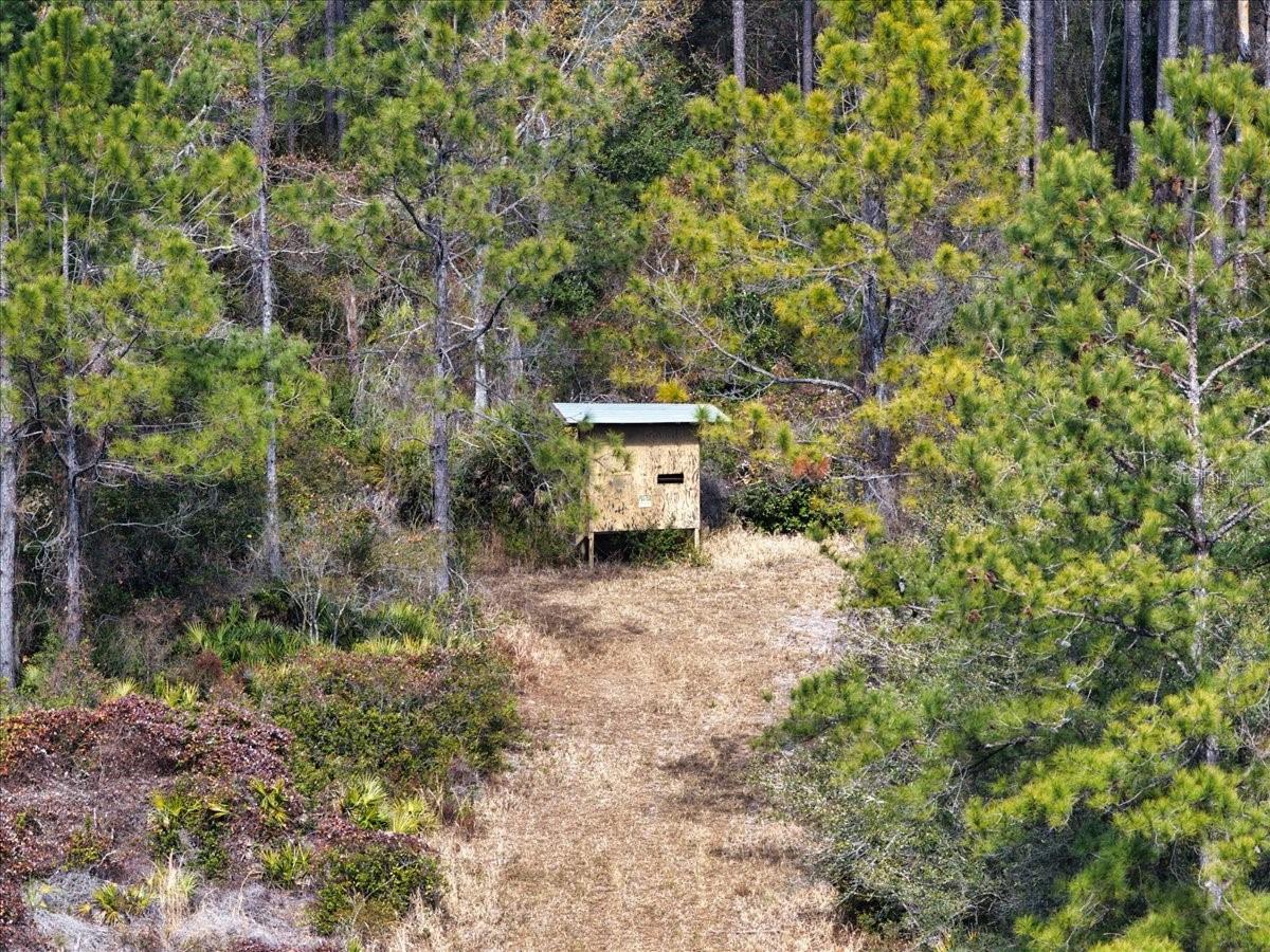 Image 38 of 70 For 60 Acres Clyatt Road