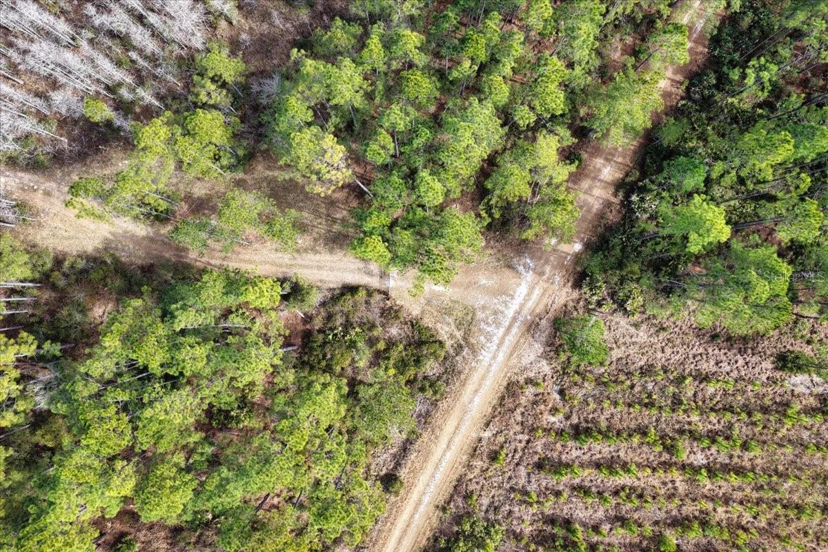 Image 40 of 70 For 60 Acres Clyatt Road