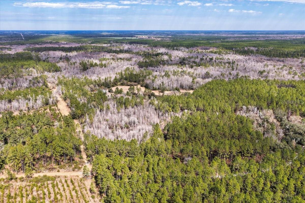 Image 41 of 70 For 60 Acres Clyatt Road