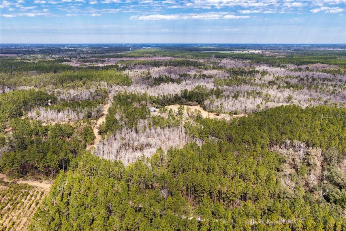 Image 42 of 70 For 60 Acres Clyatt Road