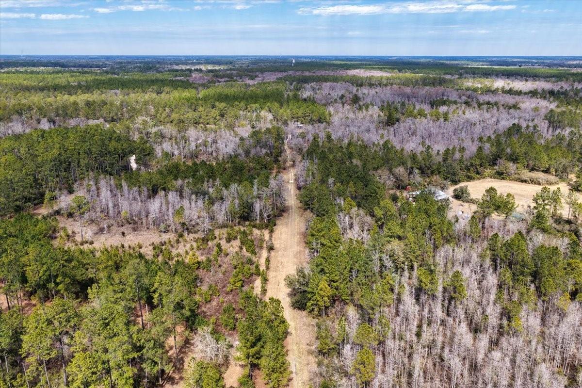 Image 44 of 70 For 60 Acres Clyatt Road