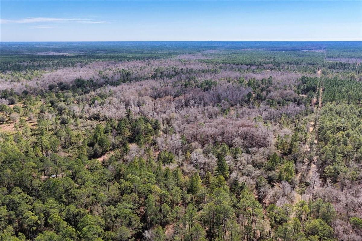 Image 54 of 70 For 60 Acres Clyatt Road