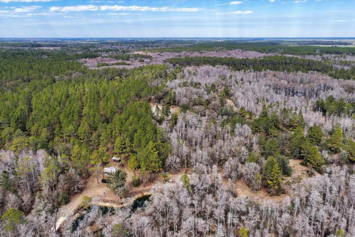 Image 57 of 70 For 60 Acres Clyatt Road