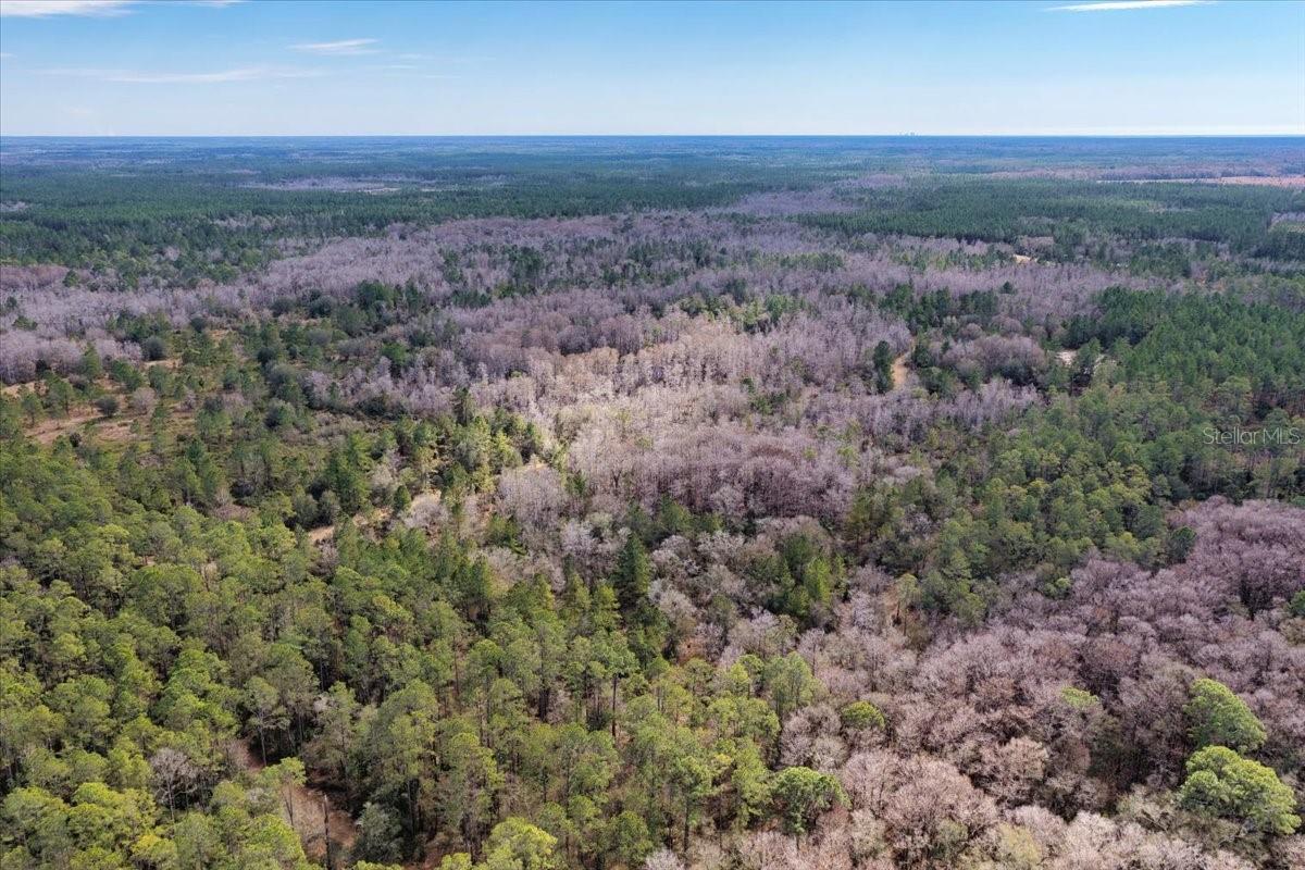 Image 58 of 70 For 60 Acres Clyatt Road