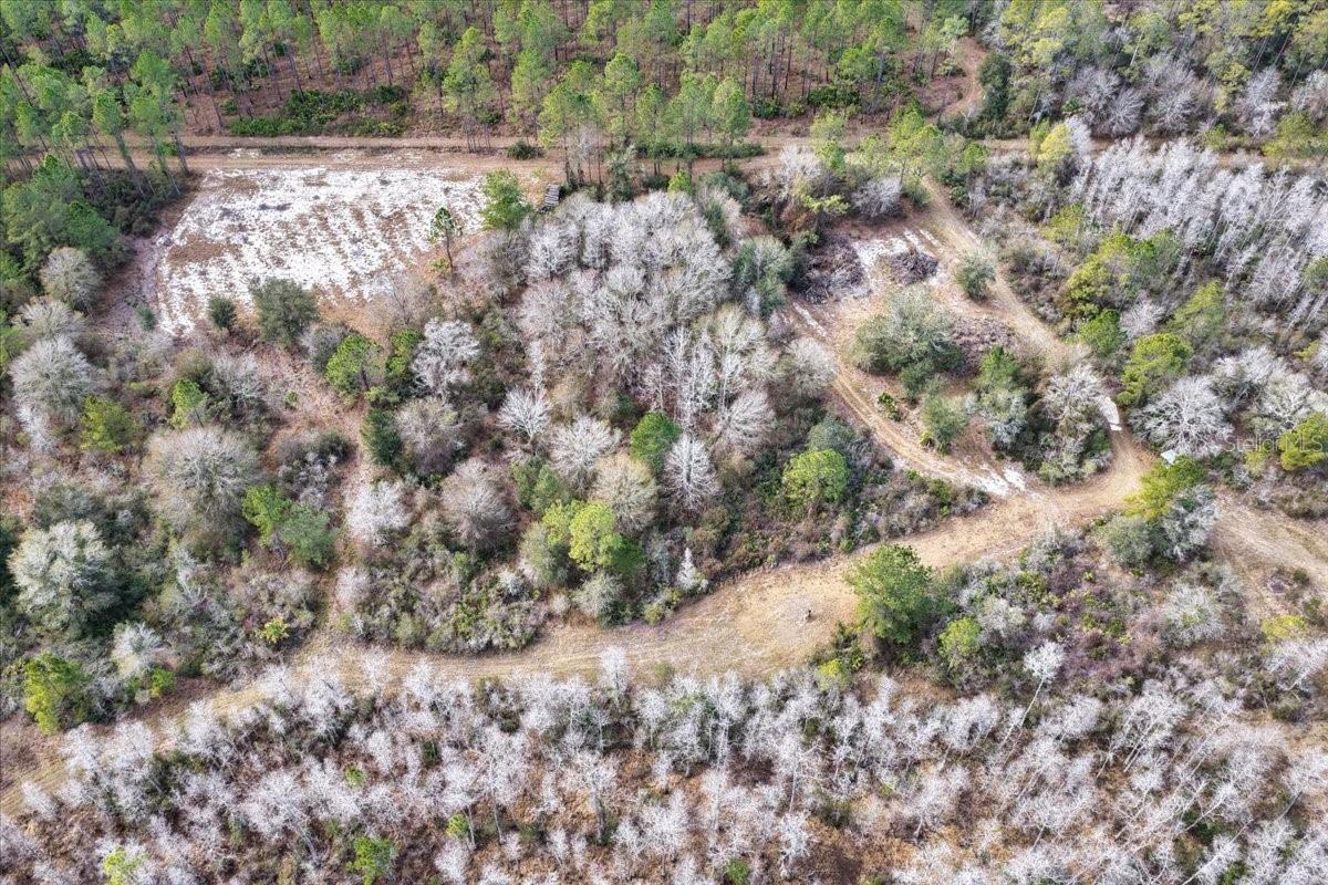 Image 64 of 70 For 60 Acres Clyatt Road