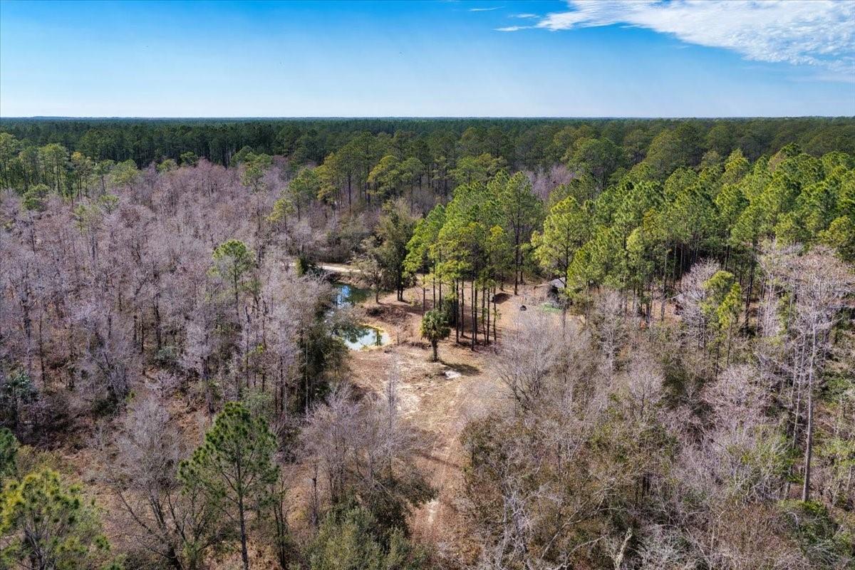 Image 65 of 70 For 60 Acres Clyatt Road