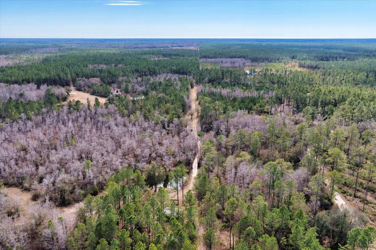 Image 67 of 70 For 60 Acres Clyatt Road