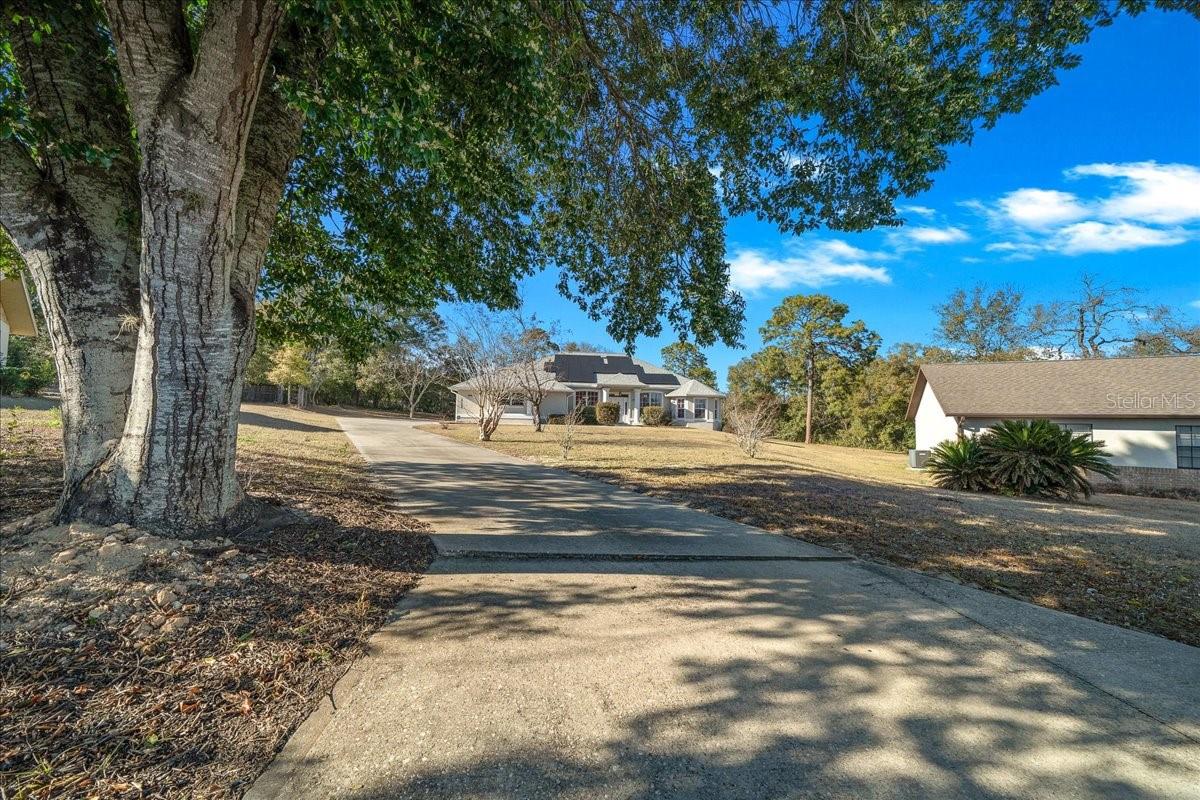 Image 17 of 74 For 10308 83rd Terrace