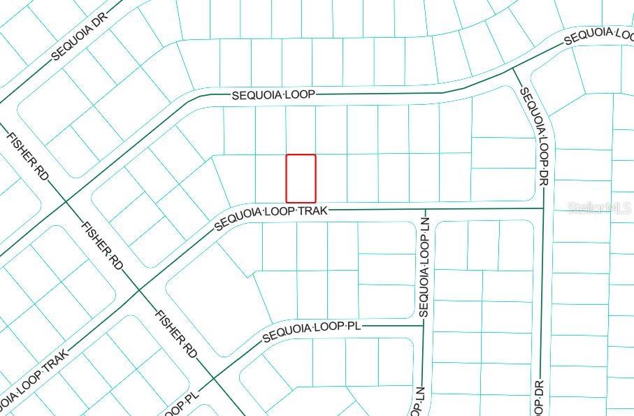 Listing Details for Sequoia Loop Track, OCKLAWAHA, FL 32179