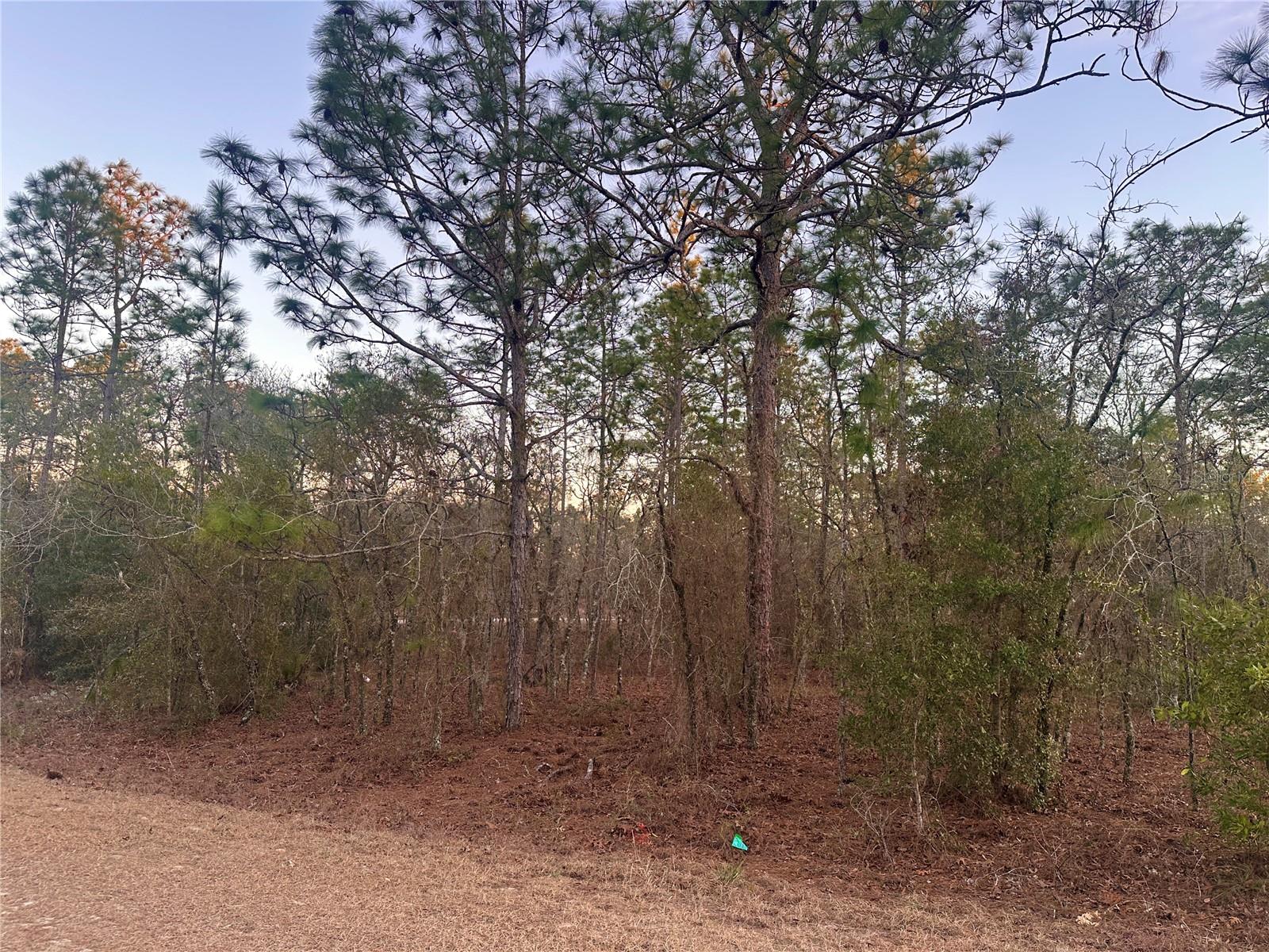 Details for 0000 130th Terrace, DUNNELLON, FL 34434