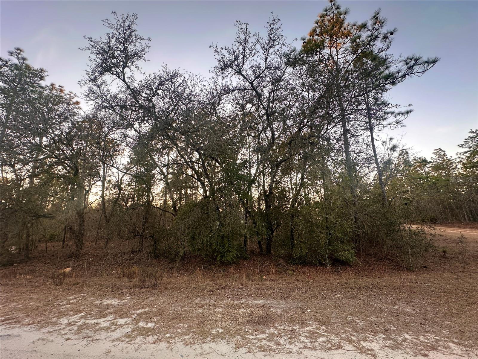 Image 3 of 11 For 0000 130th Terrace